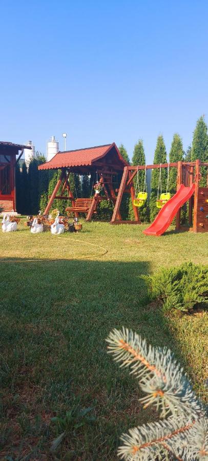 Popas Turistic Terasa Europa Villa Aknavásár Kültér fotó