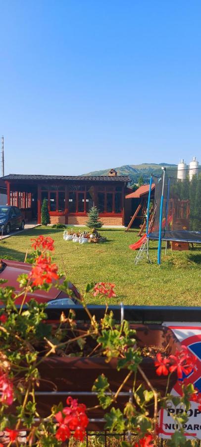 Popas Turistic Terasa Europa Villa Aknavásár Kültér fotó