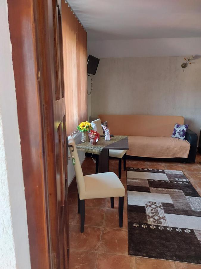 Popas Turistic Terasa Europa Villa Aknavásár Kültér fotó