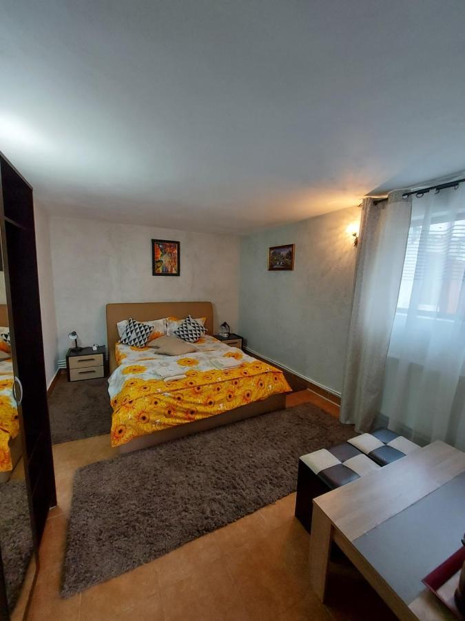 Popas Turistic Terasa Europa Villa Aknavásár Kültér fotó