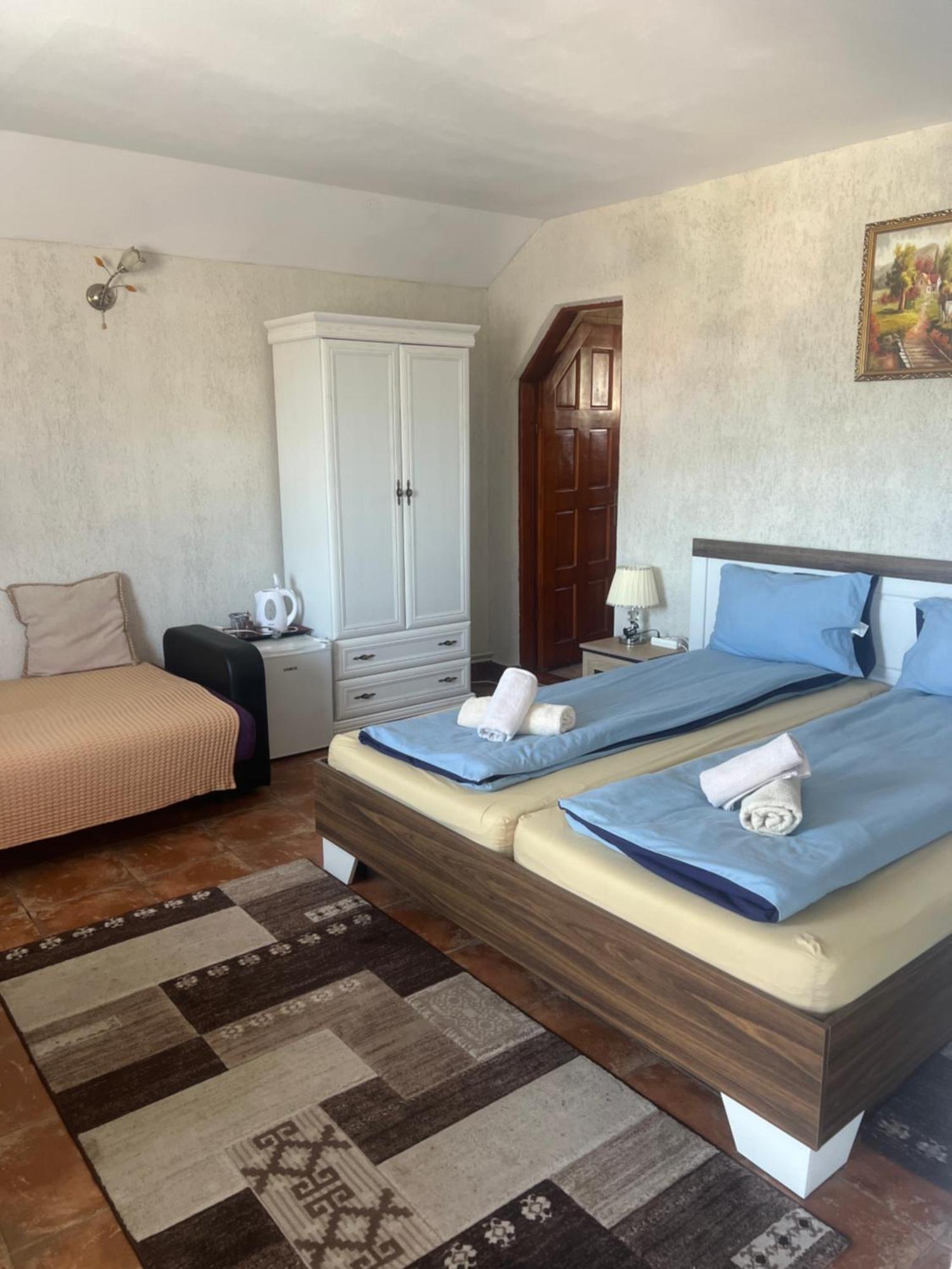 Popas Turistic Terasa Europa Villa Aknavásár Kültér fotó